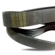 Wirtgen 143377 W1900 Drum Belt Wirtgen 143377 W1900 Drum Belt