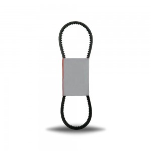 Daxton 12.5x0625 Li (RPF) V-Belt