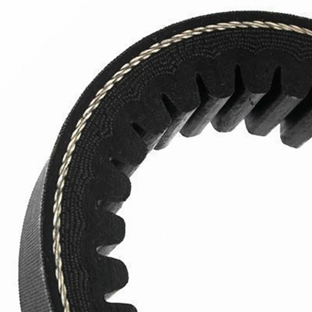 Daxton 9.5X1550 Li (W/P) V-Belt (Flat) Daxton 9.5X1550 Li (W/P) V-Belt (Flat)