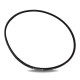 9.5X1325L Belt 21-Jf2-5-056