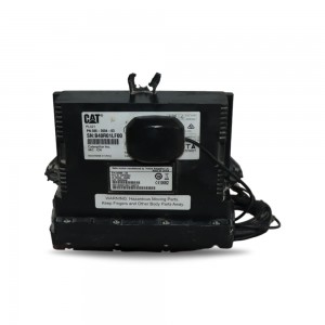 Cat 386-3004 Control Group