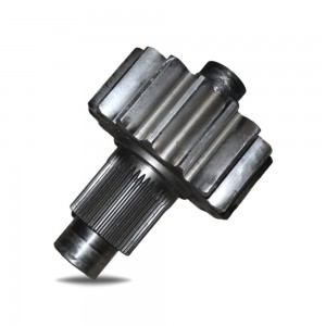 Shaft Gear