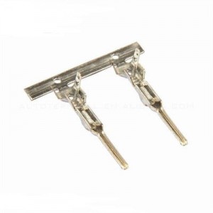 SML Male Pin
