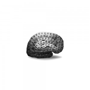 Conveyor Chain